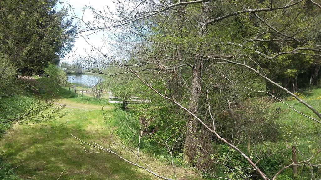 Camping De Flechat Otel Orcival Dış mekan fotoğraf
