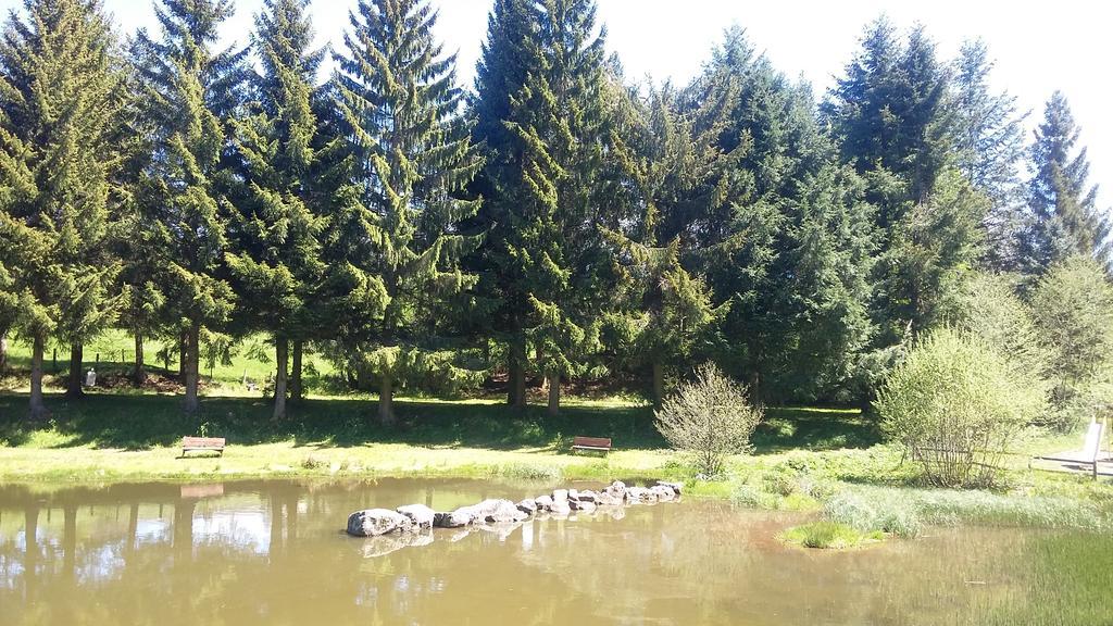 Camping De Flechat Otel Orcival Dış mekan fotoğraf